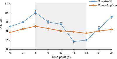 Protistal Grazers Increase Grazing on Unicellular Cyanobacteria Diazotroph at Night